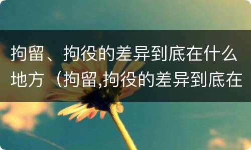 拘留、拘役的差异到底在什么地方（拘留,拘役的差异到底在什么地方呢）