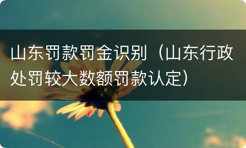 山东罚款罚金识别（山东行政处罚较大数额罚款认定）