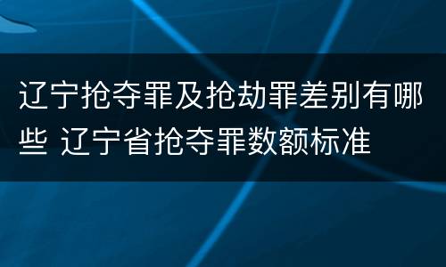辽宁抢夺罪及抢劫罪差别有哪些 辽宁省抢夺罪数额标准