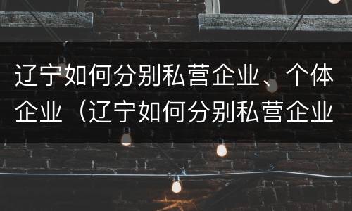 辽宁如何分别私营企业、个体企业（辽宁如何分别私营企业,个体企业,公司）