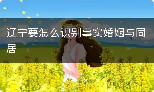 辽宁要怎么识别事实婚姻与同居