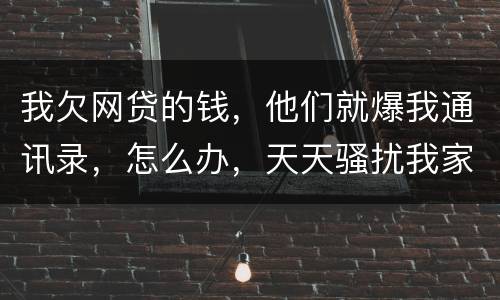 我欠网贷的钱，他们就爆我通讯录，怎么办，天天骚扰我家人