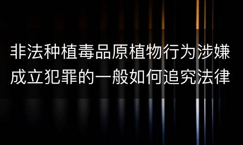 非法种植毒品原植物行为涉嫌成立犯罪的一般如何追究法律责任