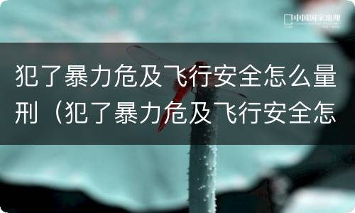 犯了暴力危及飞行安全怎么量刑（犯了暴力危及飞行安全怎么量刑的）