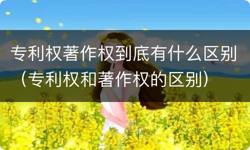 专利权著作权到底有什么区别（专利权和著作权的区别）