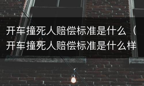 开车撞死人赔偿标准是什么（开车撞死人赔偿标准是什么样的）