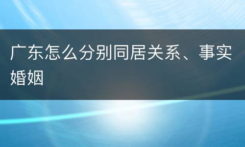 广东怎么分别同居关系、事实婚姻