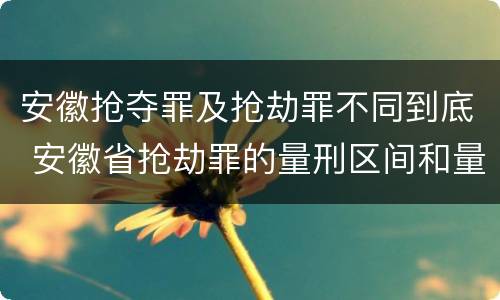 安徽抢夺罪及抢劫罪不同到底 安徽省抢劫罪的量刑区间和量刑情节