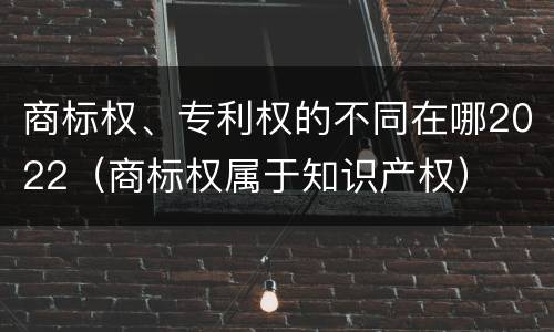 商标权、专利权的不同在哪2022（商标权属于知识产权）