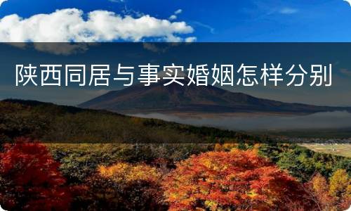 陕西同居与事实婚姻怎样分别