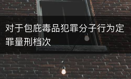 对于包庇毒品犯罪分子行为定罪量刑档次