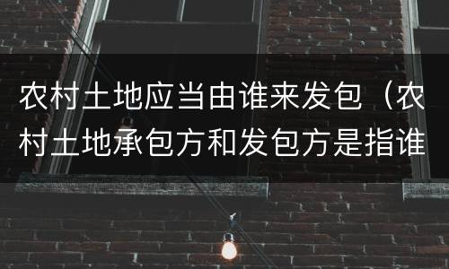 农村土地应当由谁来发包（农村土地承包方和发包方是指谁）