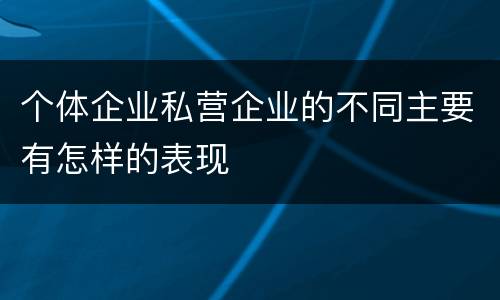 个体企业私营企业的不同主要有怎样的表现