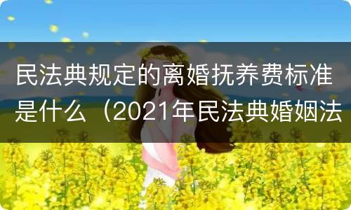 民法典规定的离婚抚养费标准是什么（2021年民法典婚姻法离婚抚养费）