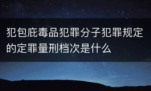 犯包庇毒品犯罪分子犯罪规定的定罪量刑档次是什么