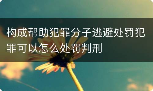 构成帮助犯罪分子逃避处罚犯罪可以怎么处罚判刑