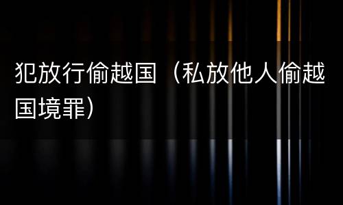 犯放行偷越国（私放他人偷越国境罪）