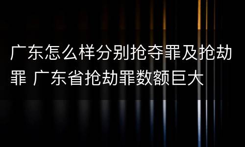 广东怎么样分别抢夺罪及抢劫罪 广东省抢劫罪数额巨大