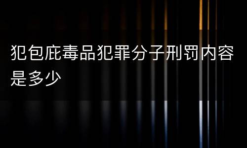 犯包庇毒品犯罪分子刑罚内容是多少