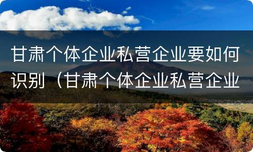 甘肃个体企业私营企业要如何识别（甘肃个体企业私营企业要如何识别企业）