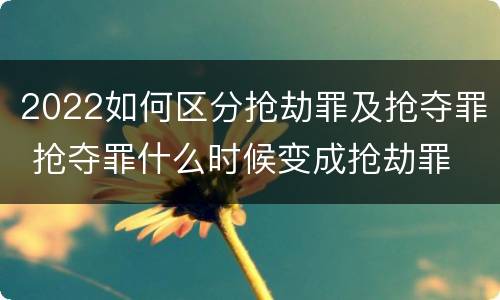 2022如何区分抢劫罪及抢夺罪 抢夺罪什么时候变成抢劫罪