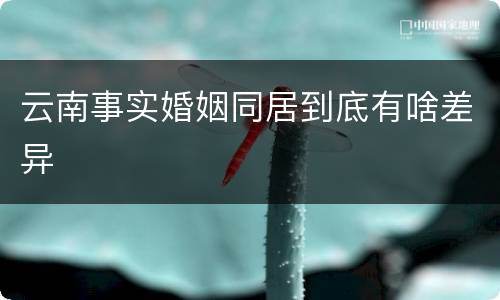 云南事实婚姻同居到底有啥差异