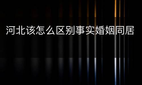 河北该怎么区别事实婚姻同居