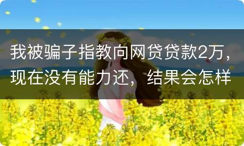 我被骗子指教向网贷贷款2万，现在没有能力还，结果会怎样