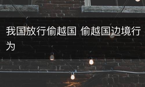 我国放行偷越国 偷越国边境行为