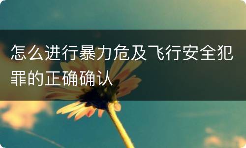 怎么进行暴力危及飞行安全犯罪的正确确认