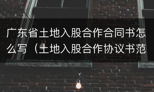 广东省土地入股合作合同书怎么写（土地入股合作协议书范本）