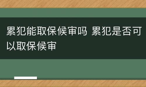 累犯能取保候审吗 累犯是否可以取保候审
