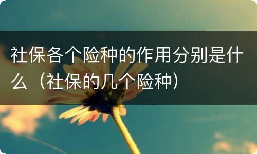 社保各个险种的作用分别是什么（社保的几个险种）
