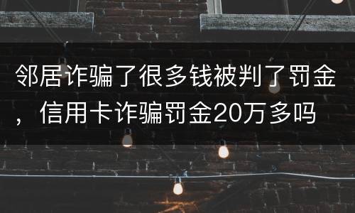 邻居诈骗了很多钱被判了罚金，信用卡诈骗罚金20万多吗