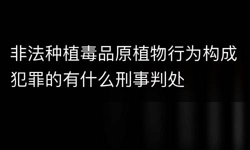 非法种植毒品原植物行为构成犯罪的有什么刑事判处