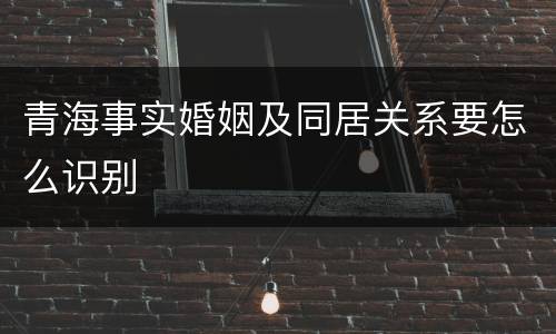 青海事实婚姻及同居关系要怎么识别