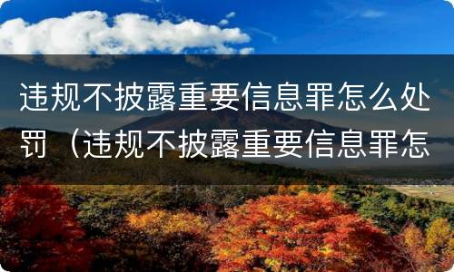 违规不披露重要信息罪怎么处罚（违规不披露重要信息罪怎么处罚的）
