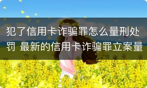 犯了信用卡诈骗罪怎么量刑处罚 最新的信用卡诈骗罪立案量刑标准