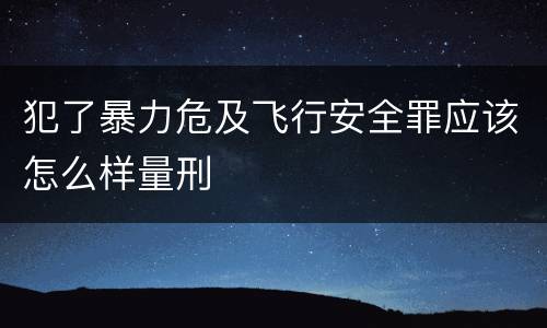 犯了暴力危及飞行安全罪应该怎么样量刑