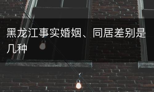 黑龙江事实婚姻、同居差别是几种