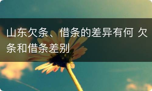 山东欠条、借条的差异有何 欠条和借条差别
