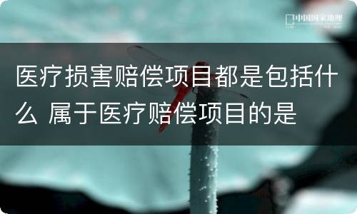 医疗损害赔偿项目都是包括什么 属于医疗赔偿项目的是