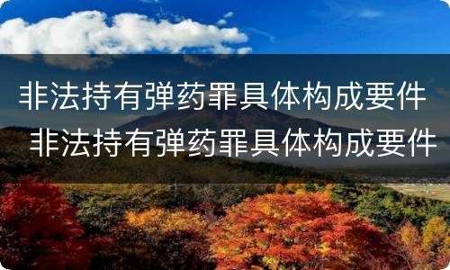 非法持有弹药罪具体构成要件 非法持有弹药罪具体构成要件有哪些