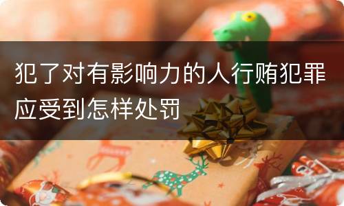 犯了对有影响力的人行贿犯罪应受到怎样处罚
