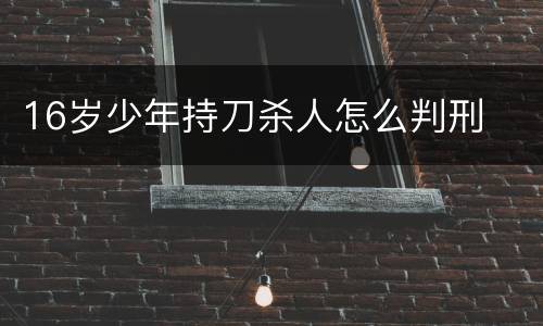 16岁少年持刀杀人怎么判刑