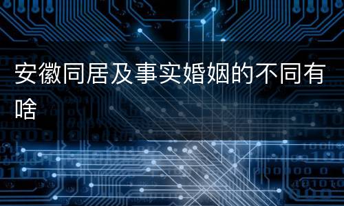 安徽同居及事实婚姻的不同有啥
