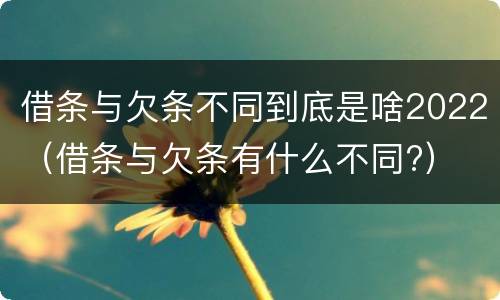 借条与欠条不同到底是啥2022（借条与欠条有什么不同?）