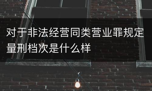 对于非法经营同类营业罪规定量刑档次是什么样
