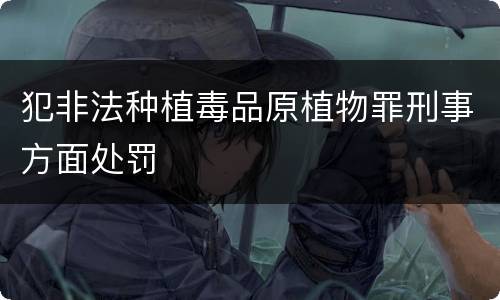 犯非法种植毒品原植物罪刑事方面处罚