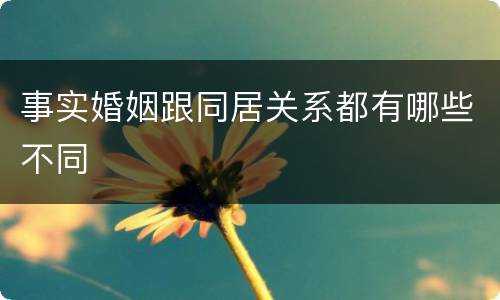 事实婚姻跟同居关系都有哪些不同